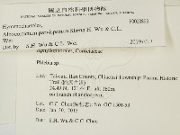 登錄號:F0028893藏品圖，第2張
