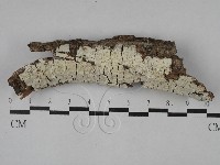登錄號:F0028893藏品圖，第1張