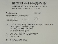 絲皮菌屬藏品圖，第2張