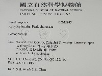 筍殼菌屬藏品圖，第2張