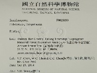 登錄號:F0028899藏品圖，第2張