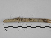 登錄號:F0028901藏品圖，第1張
