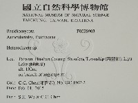 刺皮菌屬藏品圖，第2張