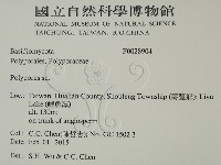 多孔菌屬藏品圖，第2張