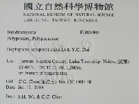 登錄號:F0028906藏品圖，第2張