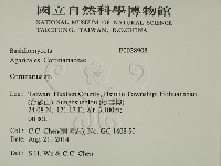 登錄號:F0028908藏品圖，第2張