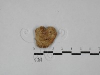 登錄號:F0028908藏品圖，第3張