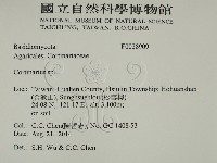 登錄號:F0028909藏品圖，第2張