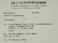 登錄號:F0028911藏品圖，第2張