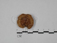 登錄號:F0028911藏品圖，第1張