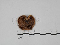 登錄號:F0028911藏品圖，第3張