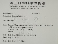 登錄號:F0028912藏品圖，第2張