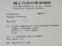 紅菇屬藏品圖，第2張