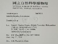 登錄號:F0028916藏品圖，第2張