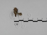 登錄號:F0028919藏品圖，第3張