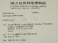 登錄號:F0028921藏品圖，第2張