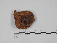 登錄號:F0028921藏品圖，第3張