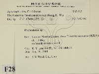 登錄號:F0028922藏品圖，第2張