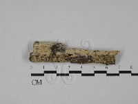 登錄號:F0028922藏品圖，第1張