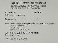 容氏菌屬藏品圖，第2張