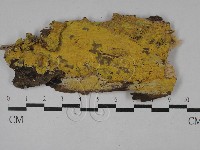 登錄號:F0028925藏品圖，第1張