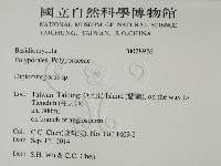 登錄號:F0028926藏品圖，第2張