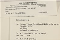 登錄號:F0028926藏品圖，第3張