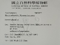 刺革菌屬藏品圖，第2張