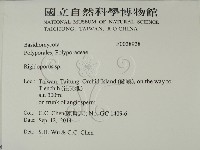 硬孔菌屬藏品圖，第2張