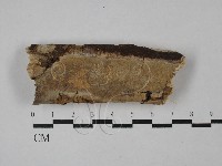 登錄號:F0028929藏品圖，第1張