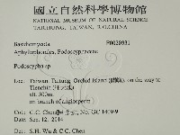 登錄號:F0028931藏品圖，第2張