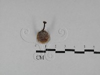 登錄號:F0028931藏品圖，第3張