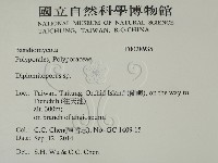 登錄號:F0028935藏品圖，第2張
