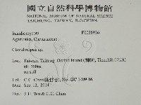 登錄號:F0028936藏品圖，第2張