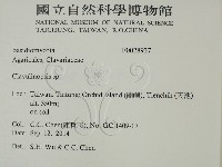 登錄號:F0028937藏品圖，第2張