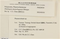 登錄號:F0028939藏品圖，第3張