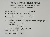 登錄號:F0028943藏品圖，第2張
