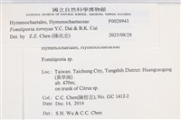 登錄號:F0028943藏品圖，第4張