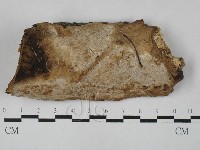 登錄號:F0028944藏品圖，第1張