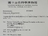 登錄號:F0028945藏品圖，第2張