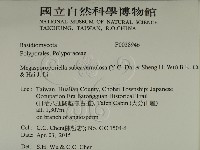 登錄號:F0028946藏品圖，第2張