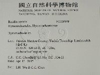 刺革菌屬藏品圖，第2張