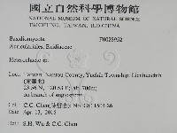 刺皮菌屬藏品圖，第2張