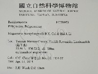 登錄號:F0028953藏品圖，第2張