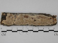 登錄號:F0028953藏品圖，第1張