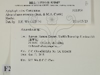 登錄號:F0028954藏品圖，第2張