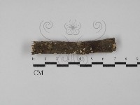 登錄號:F0028954藏品圖，第1張