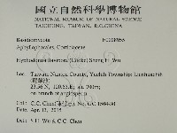 登錄號:F0028955藏品圖，第2張