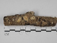 登錄號:F0028955藏品圖，第1張