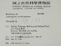 登錄號:F0028961藏品圖，第2張